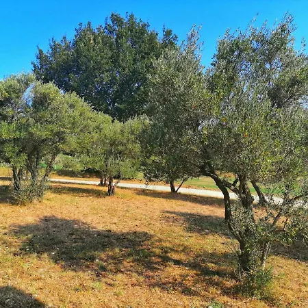 Casa Degli Ulivi By Holidayngo Villa